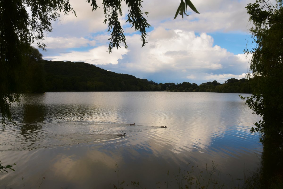 Etang de Changé (53)