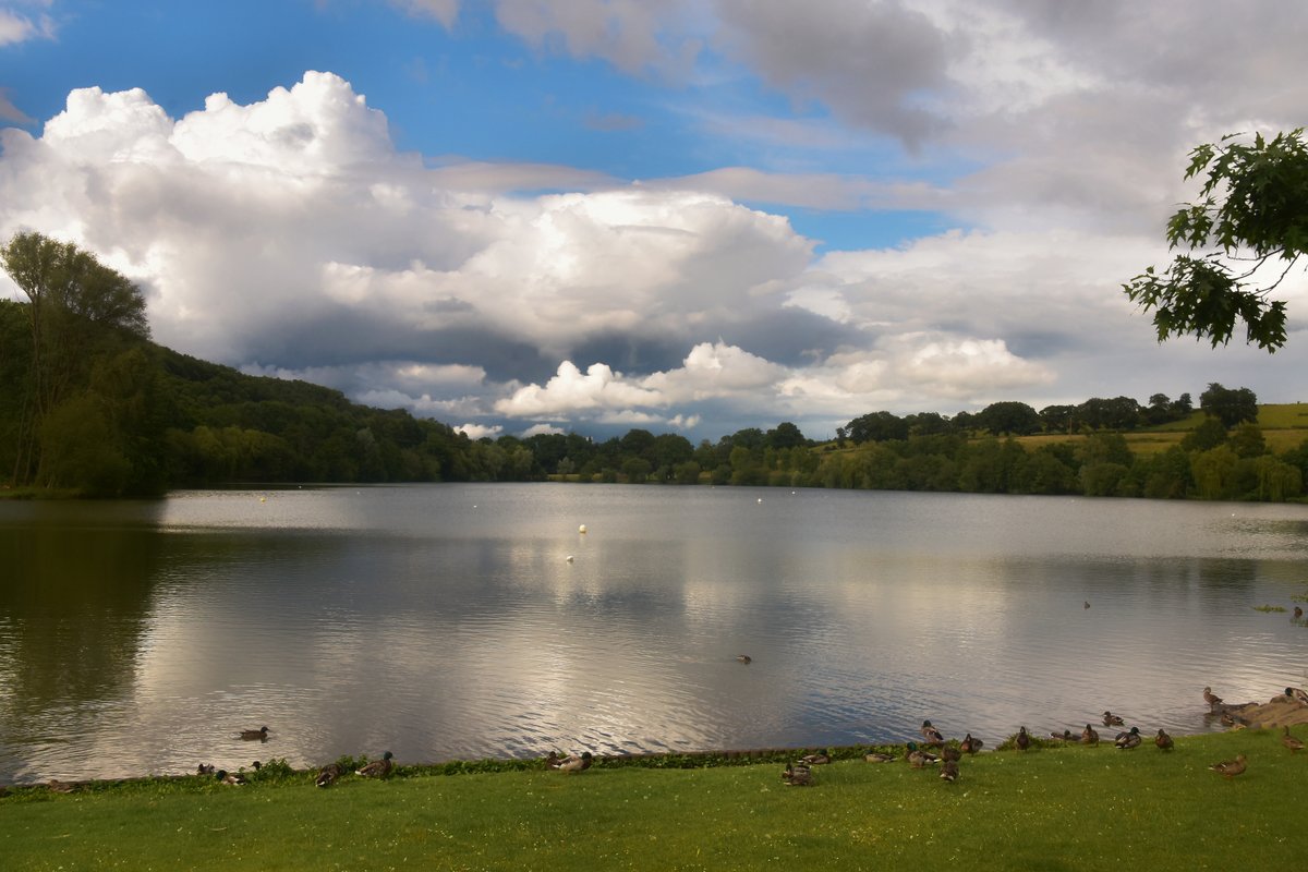 Etang de Changé (53)